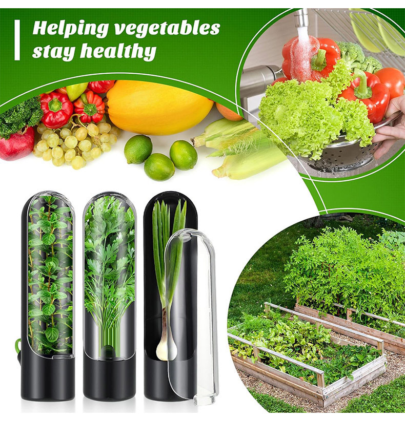 Herb Keeper Container - Бутылка для сохранения свежих овощей, контейнер