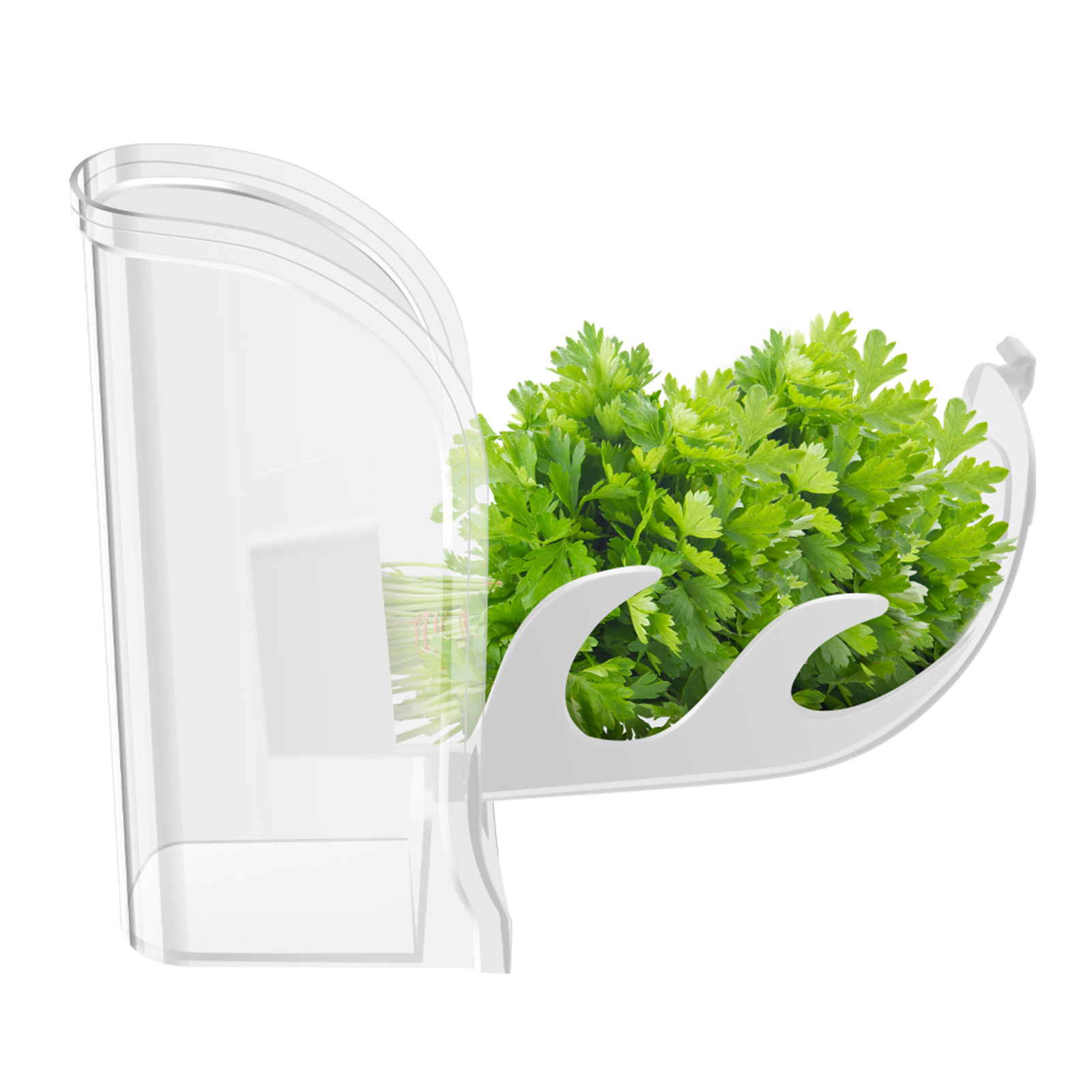 Контейнер для хранения трав, к – обзор и цена Herb Keeper Container