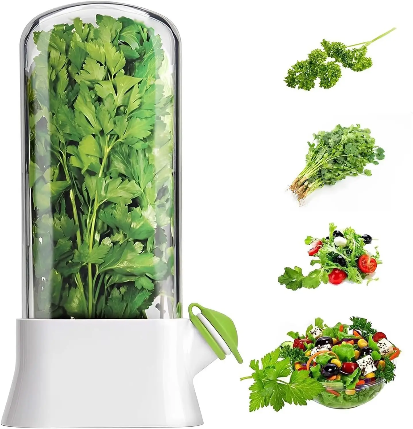 Контейнер для хранения трав в  – обзор и цена Herb Keeper Container