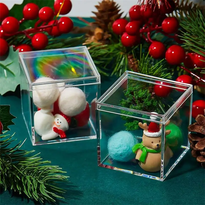 12 шт. прозрачные акриловые ко – обзор и цена Xmas Food Storage Containers